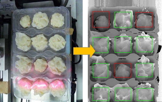 Volume Inspection of Dumpling